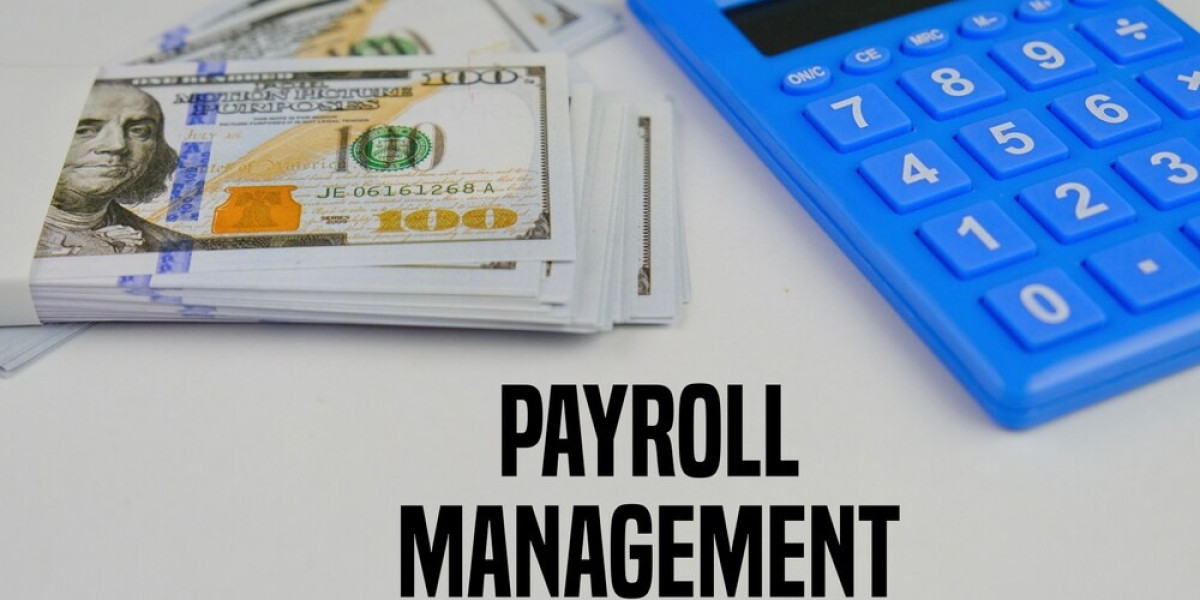 Common Payroll Mistakes and How Payroll Management Services Can Help