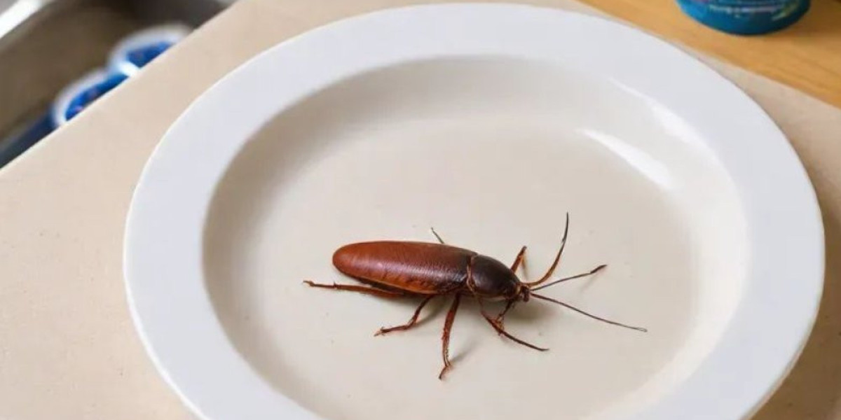 Top Tips for Effective Cockroach Pest Control