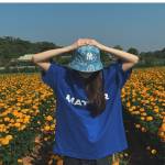 Shey Profile Picture