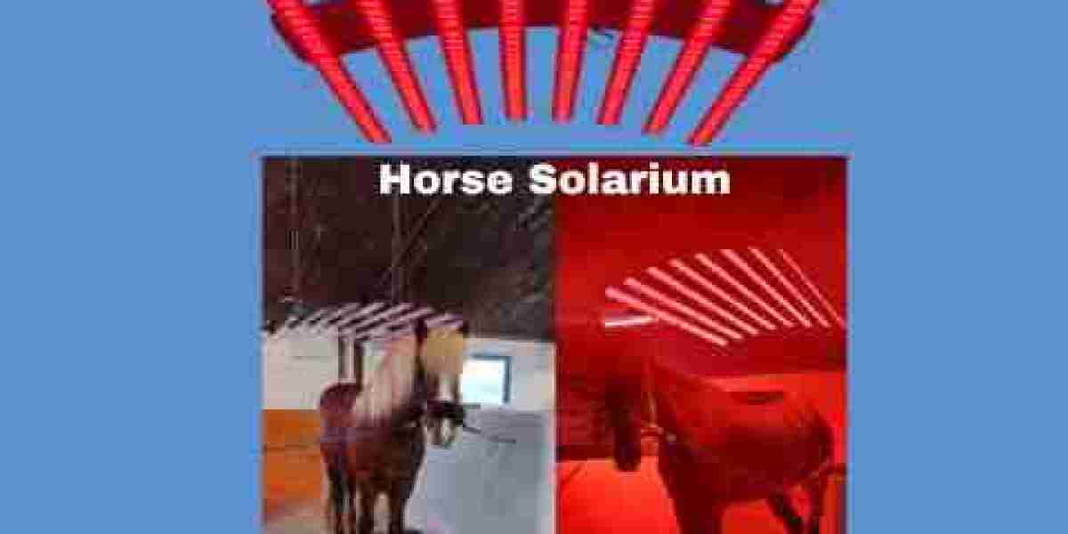 Enhance Equine Recovery and Wellness with an Advanced Horse Solarium