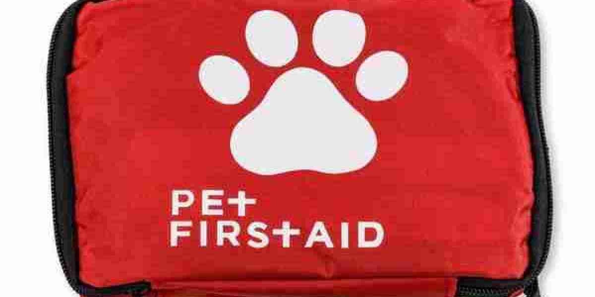 Where to Buy the Best DIN13164 First Aid Kit Online?