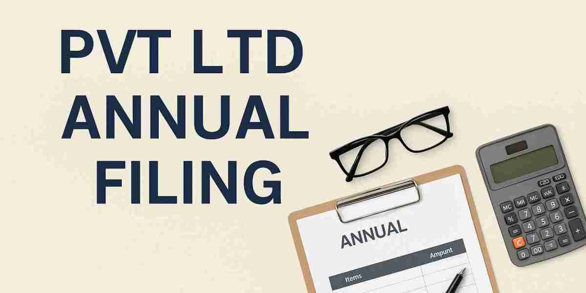 Everything You Need to Know About Annual Return Filing for Pvt Ltd Companies in India